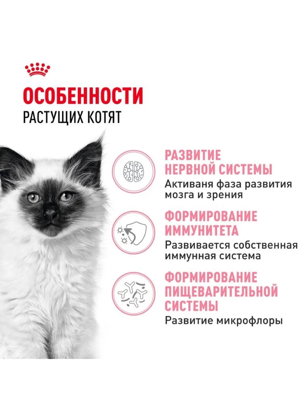 Kitten Корм для котят до 12 месяцев 2кг