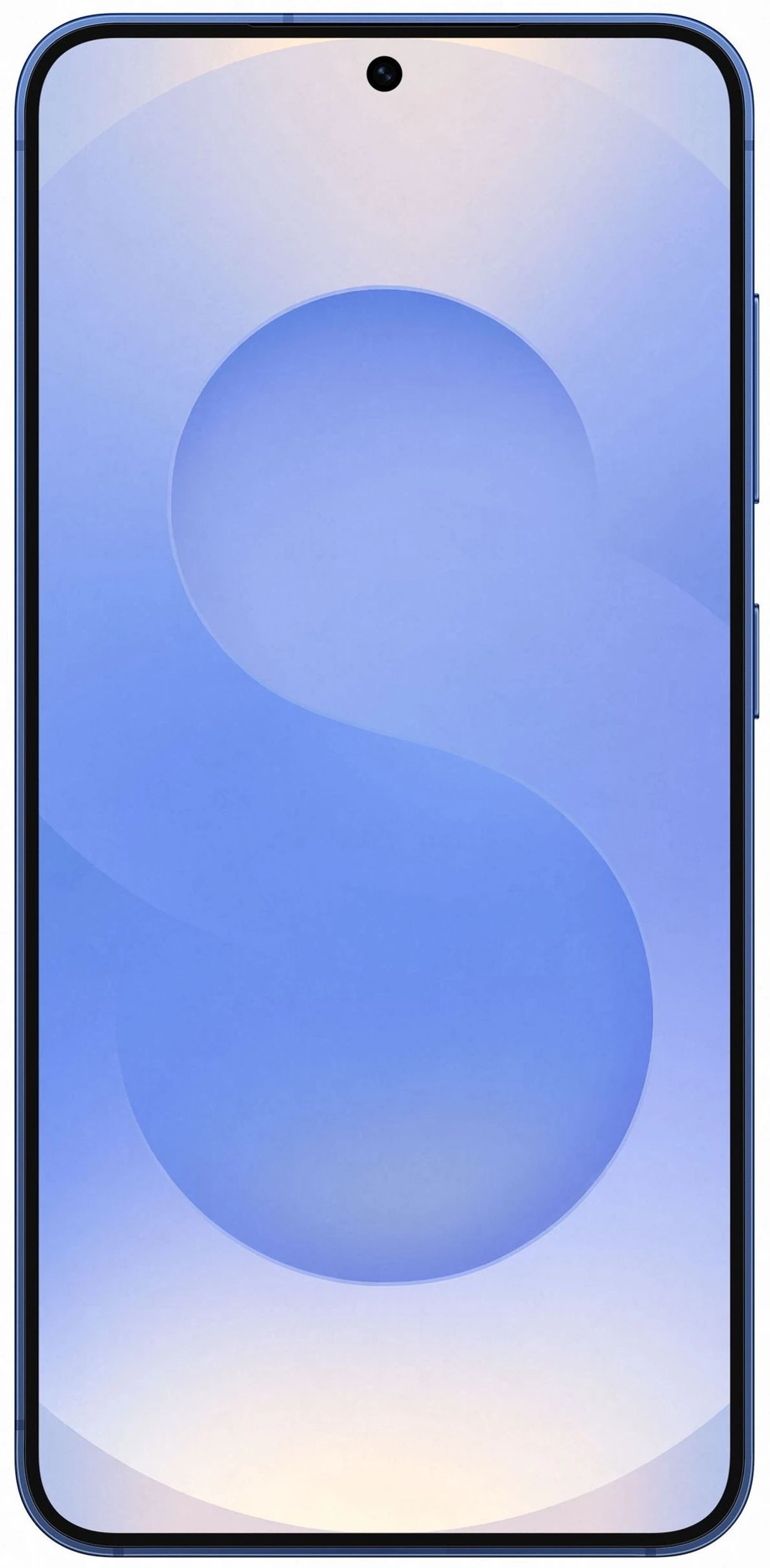 Смартфон Samsung Galaxy S25 12 ГБ + 256 ГБ Синий | Navy
