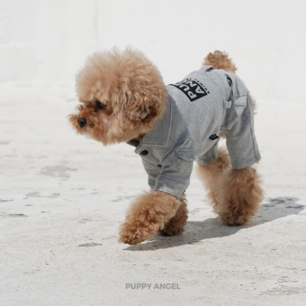 473 Спортивный костюм "Puppy Angel"