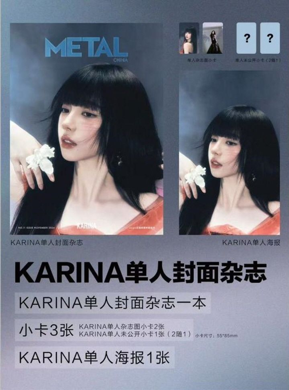 публикация METAL (CHINA) - 2024.11 aespa KARINA B Type