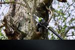 Высоторез/Сучкорез аккумуляторный телескопический Greenworks PS102T, 25 см, бесщеточный, без АКБ и ЗУ (1402407)