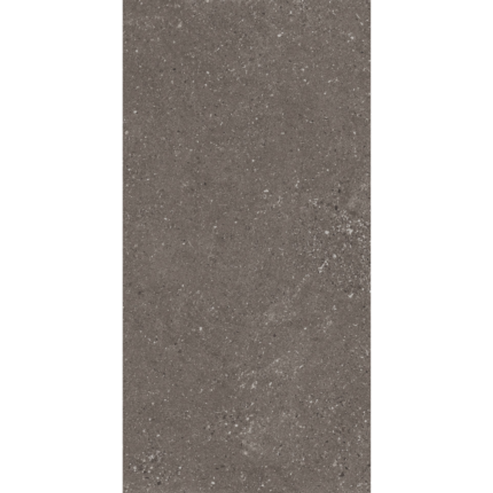 ASTRA GRIS 600*1200 керамогранит матовый