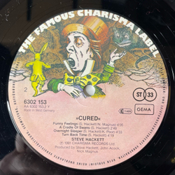 Винтажная виниловая пластинка LP Steve Hackett Cured (Германия 1981)