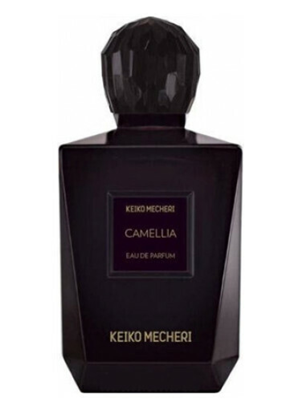 Keiko Mechery camellia