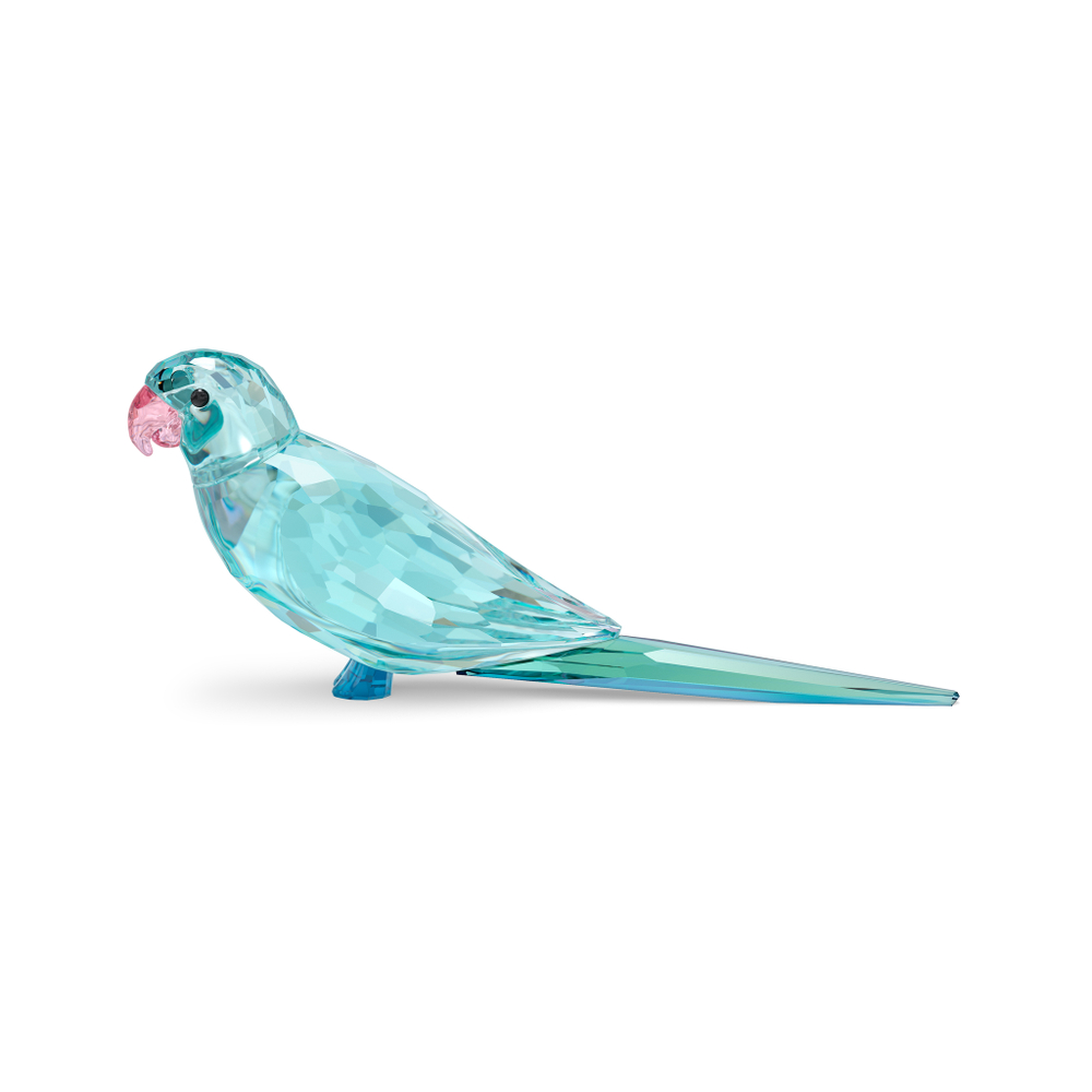 JUNGLE BEATS:BLUE PARAKEET