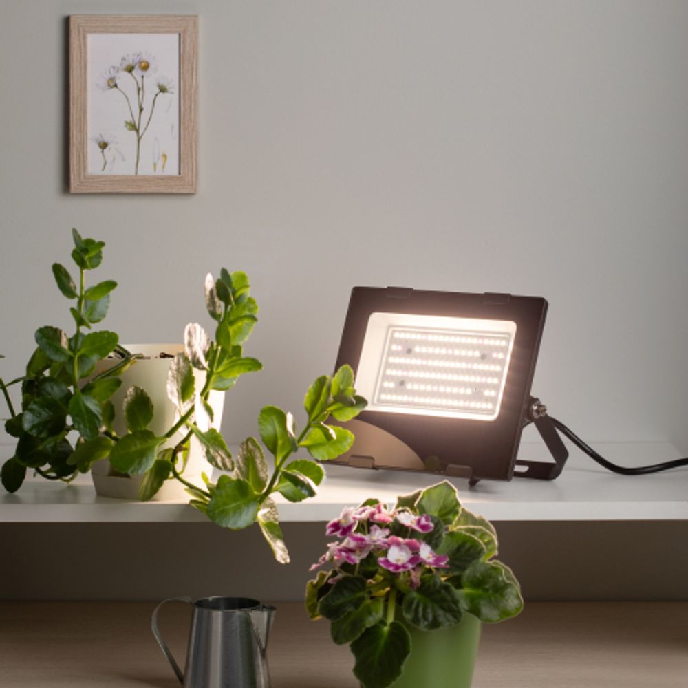 Фитопрожектор для растений светодиодный ЭРА FITO-50W-Ra90-LED для цветения и плодоношения полного спектра 50 Вт | Фито прожекторы