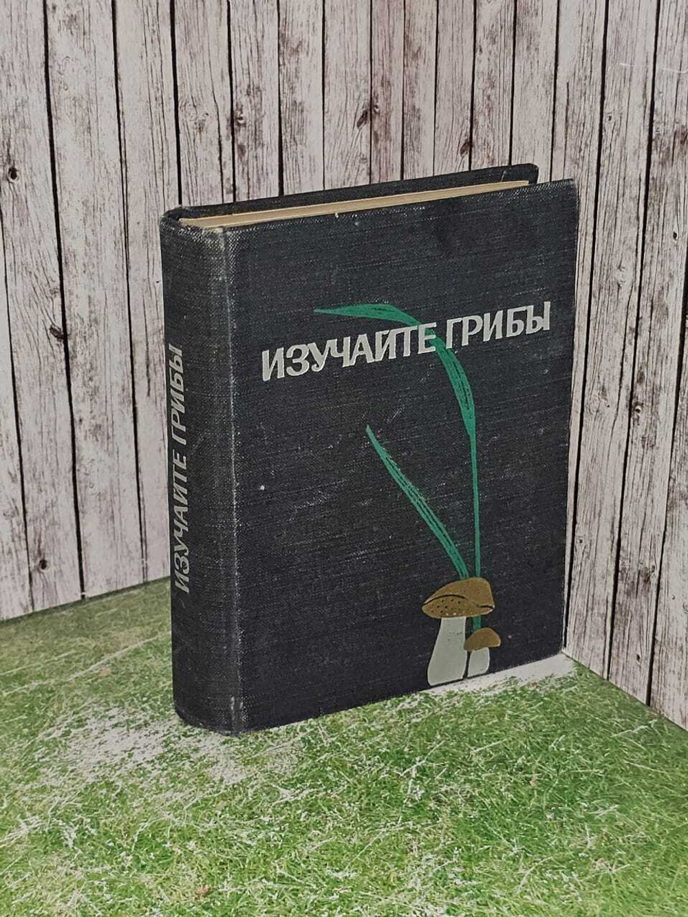 Изучайте грибы