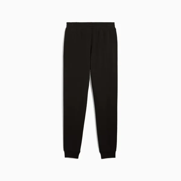 Брюки спортивные мужские PUMA ESS 2 COLOR No. 1 Logo Sweatpants TR cl