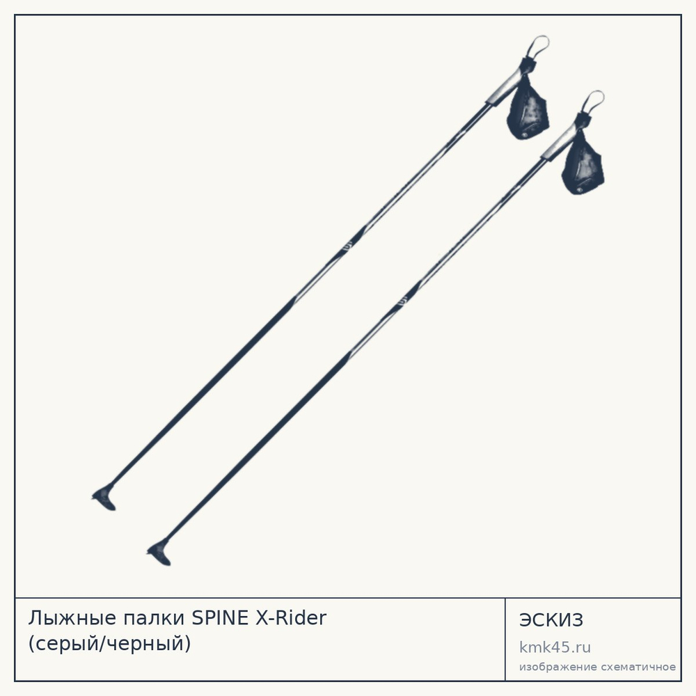 Лыжные палки SPINE X-Rider (серый/черный) — от 2 200 ₽
