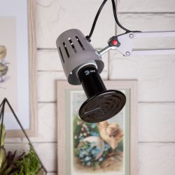 Инфракрасная лампа ЭРА CeramiHeat FITO-200W-НQ керамическая для брудера, рептилий 200 Вт Е27 | Инфракрасные лампы