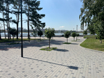 Тротуарная плитка ВАН, форма Квадрат 100*100, h=80мм