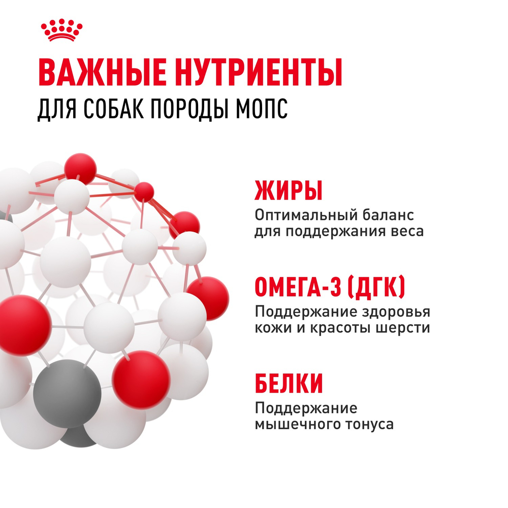 Royal Canin Pug Adult Мопс Эдалт Корм сухой для взрослых собак породы Мопс от 10 месяцев 500 г