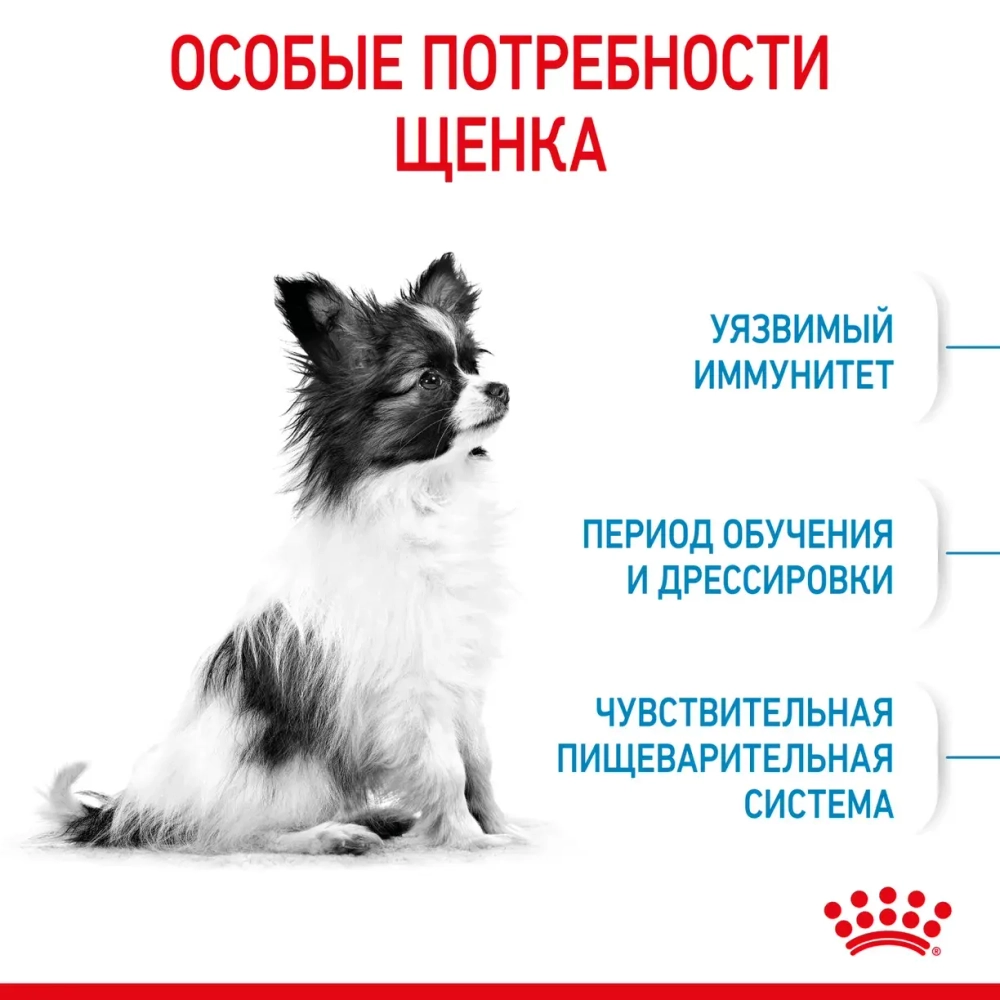 Корм Royal Canin X-Small Puppy для щенков до 10 месяцев 0.5кг