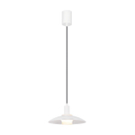Подвесной светильник Favourite Baster 4274-1P