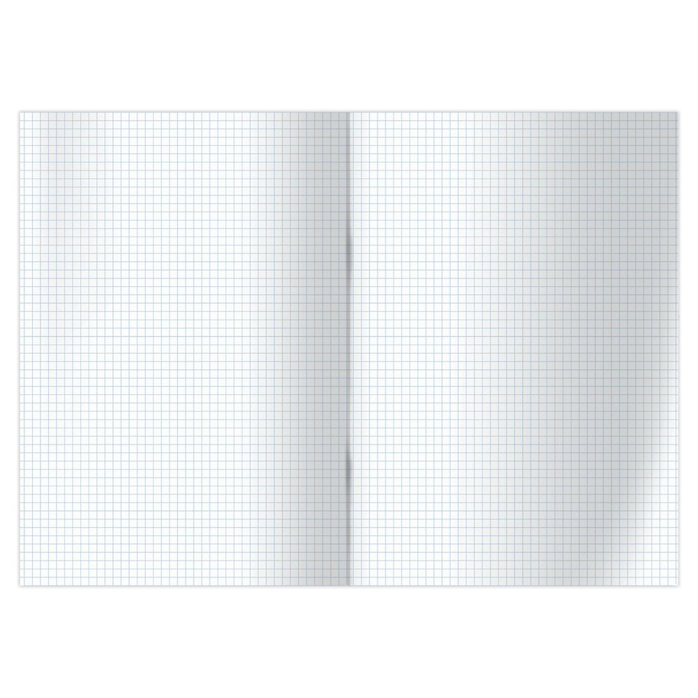 Книга учёта А4, 160л., клетка, обл. твердая 7БЦ, блок офсет, Спейс