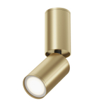 Накладной светильник Maytoni Focus S C051CL-01G