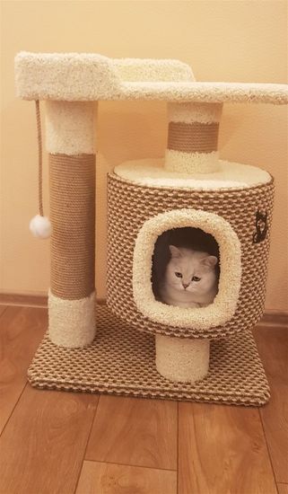 Домик для кота Д-6