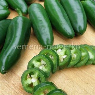 Перец Куатреро  F1  250 (семян)