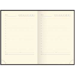 Недатированный ежедневник Delucci А5 (UD1_89501)
