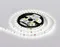 Светодиодная лента Illumination GS1003 Ambrella