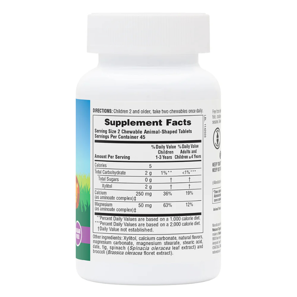 NaturesPlus, Animal Parade Calcium, 90 Chewable Tablets | Bolalar uchun kalsiy, vanil, 90 ta chaynaladigan tabletka