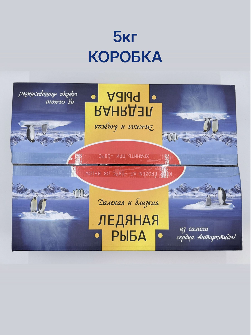Ледяная рыба свежемороженая 5кг коробка