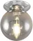 Настенно-потолочный светильник Томми CL102510 Citilux