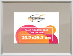 Рамка 23,7x29,7 для постера и фотографий