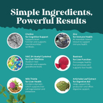Nature's Craft, NAC для поддержки печени с экстрактом расторопши, 60 капсул