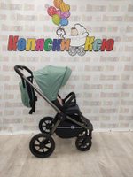 Коляска модульная Rant Flex Pro 2023 Green