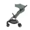 Коляска ANEX iQ Premium 2 в 1 Olly