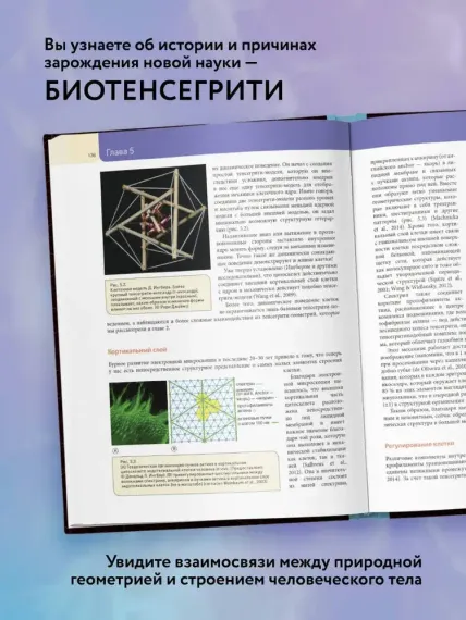 Биотенсегрити
