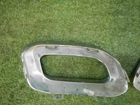 DSCN9987.jpg