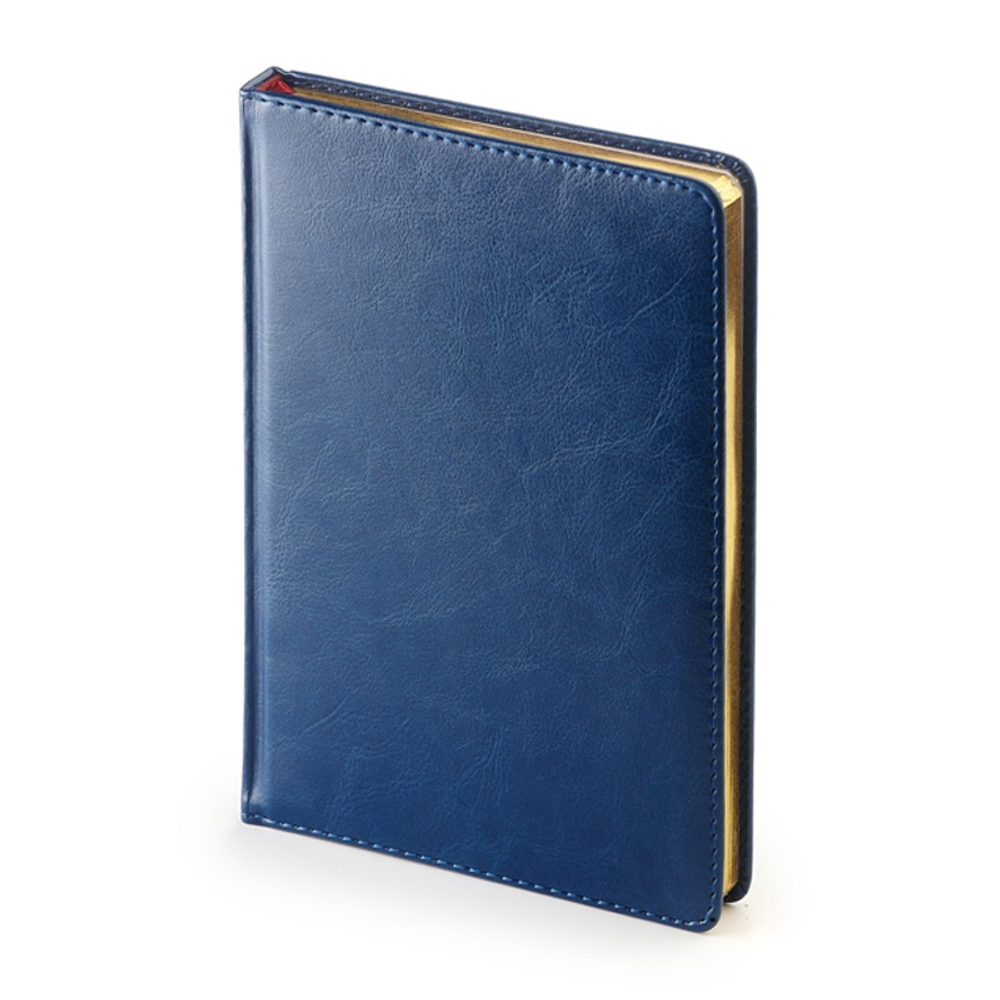 Подарочный набор: Шариковая ручка Parker Jotter + ежедневник, синий