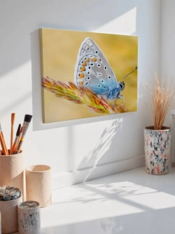 Картина на стену 40 X 50 Бабочка