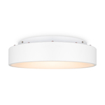 Потолочный светильник Freya FR6118CL-L45W