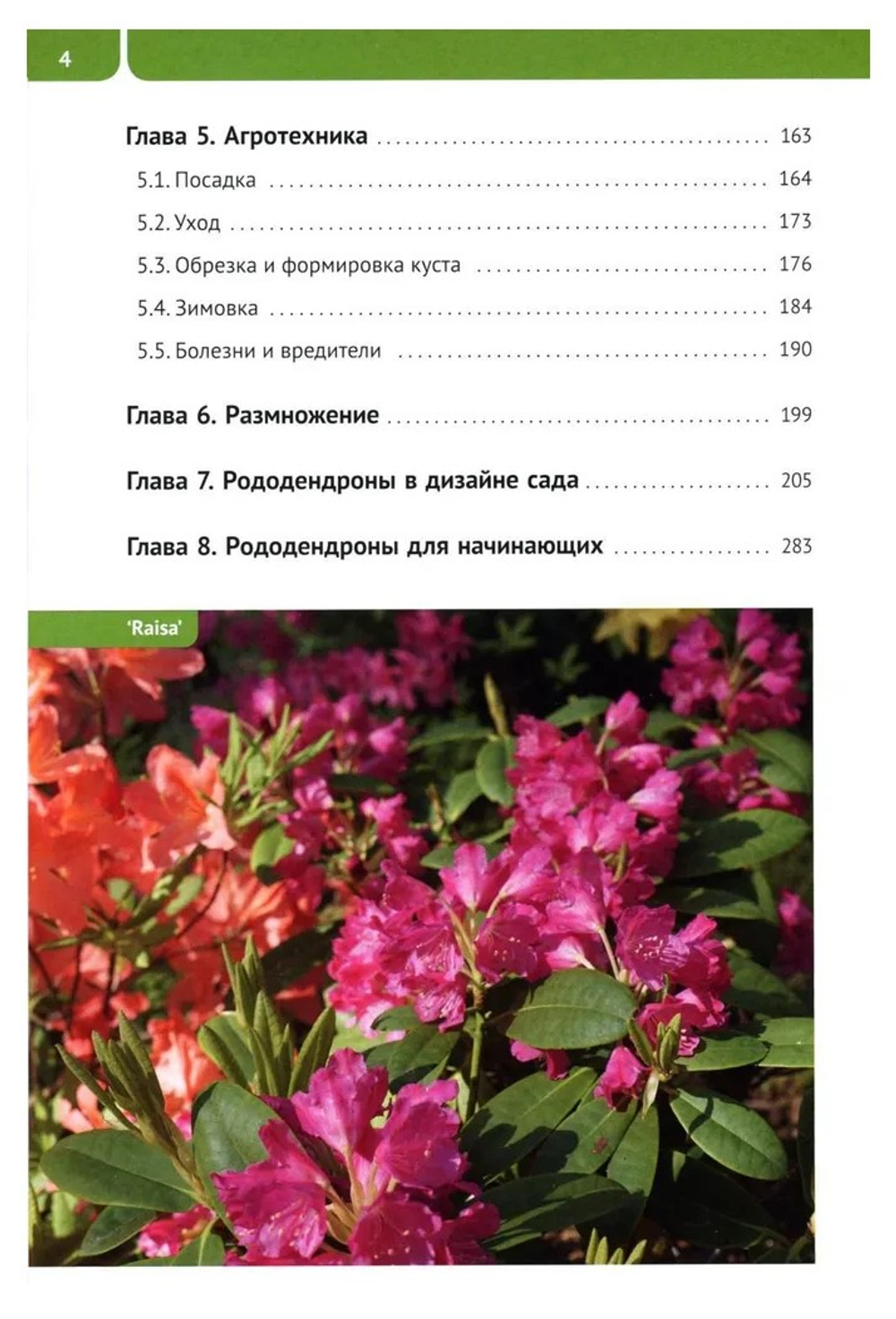 Рододендроны для Северо-Запада