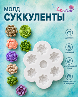 Молд Суккулент семицветик