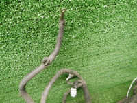 DSCN1267.JPG