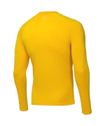 Джемпер компрессионный утепленный CAMP PerFormDRY Baselayer Top Warm, желтый