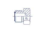 Заглушка V (Ш) ORFS 1.3/16