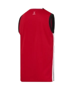 Майка баскетбольная JÖGEL DIVISION PerFormDRY Jersey R2, красный