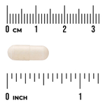 Swanson Vitamins, DHEA, 10 мг, 120 веганских капсул