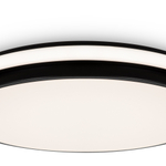 Потолочный светодиодный светильник Freya Pie FR6086CL-L117B