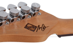 Schecter NICK JOHNSTON TRAD-SSS ATOMIC FROST