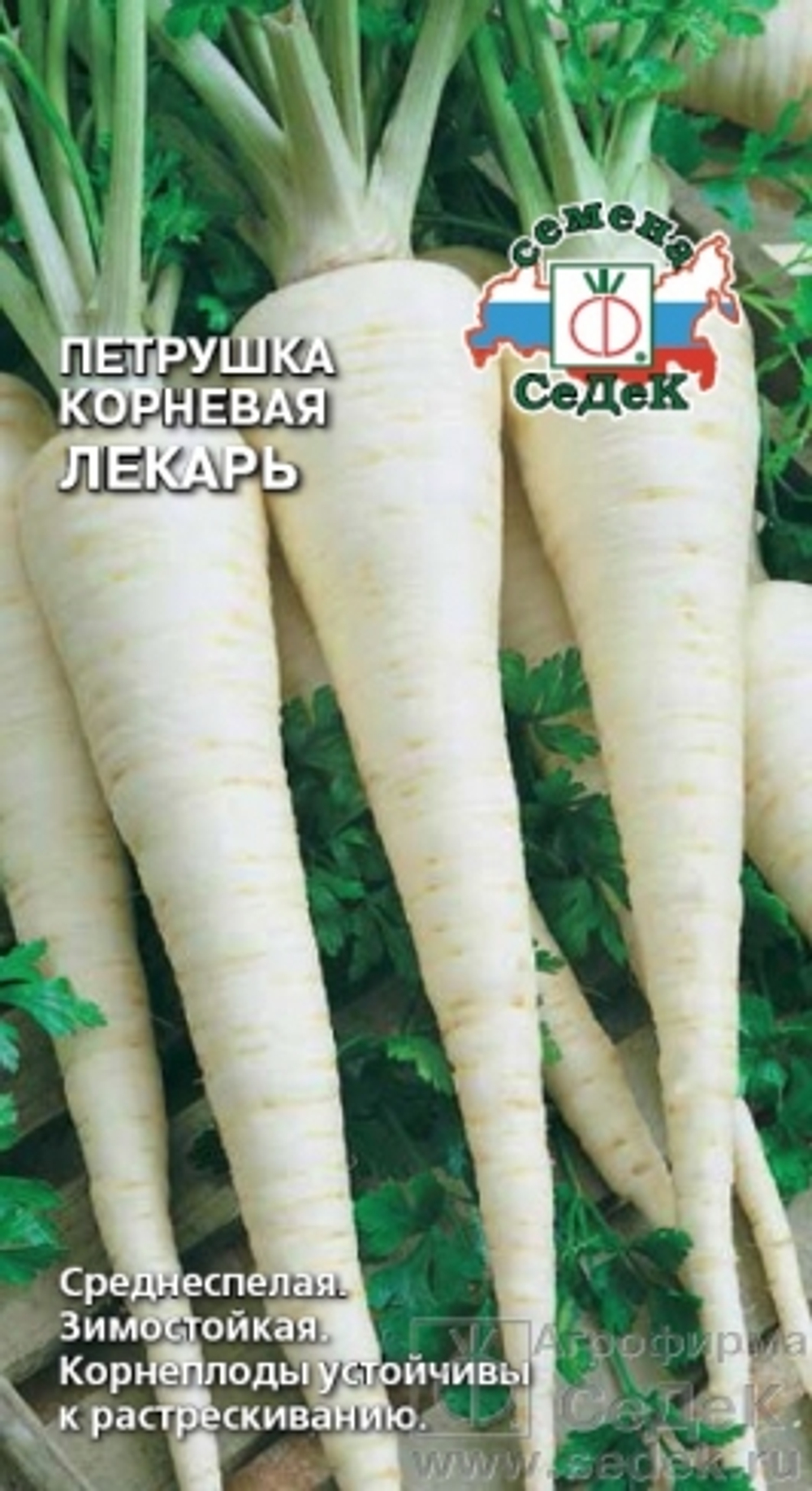 Петрушка корневая Лекарь 2гр Седек
