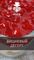 Puer Hookah - Cherry Schwarzwald (100г)
