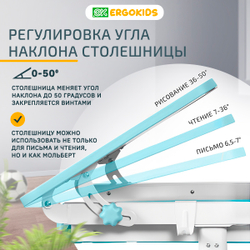 Детский стол и стул Ergokids Fresco BD-31