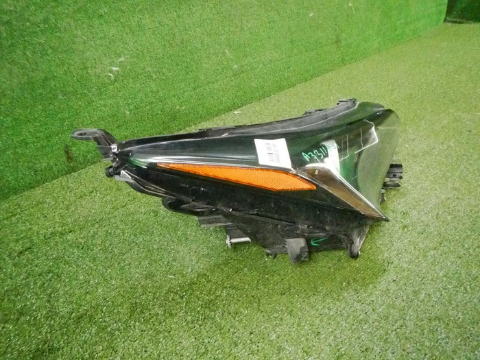 DSCN7989.JPG