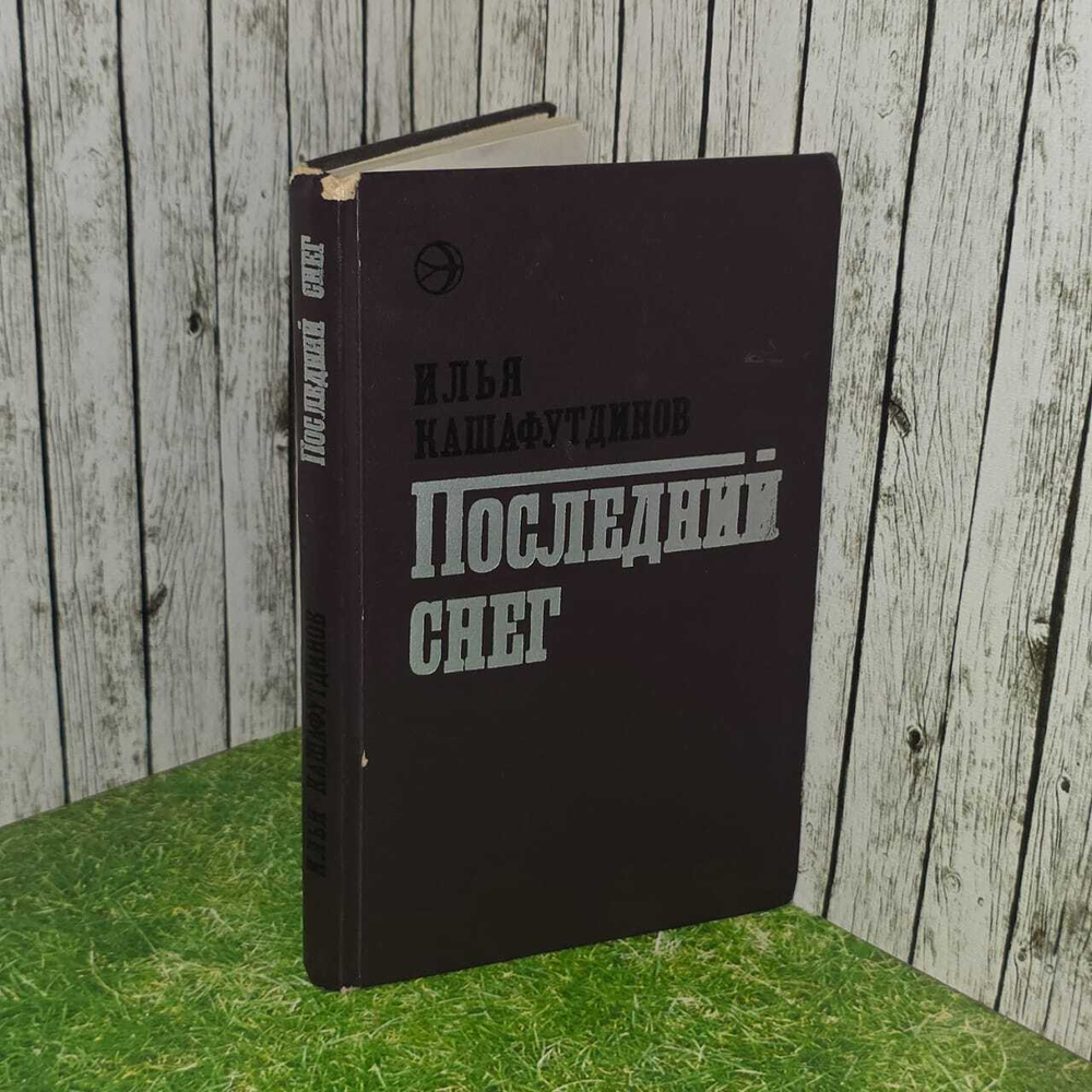 Последний снег. Кашафутдинов Илья Бариевич